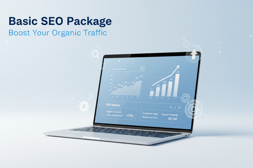 Basic SEO Package